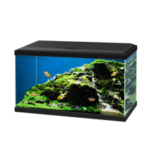 Ciano Aqua 60 LED Aquarium - Black 58L