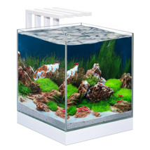 Ciano Nexus Pure 25 Cube Aquarium With LED Light