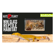 Repti Planet Glass Terrarium 50.5cm x 30.5cm x25cm