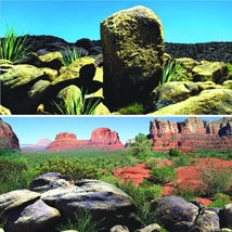 Betta Red / Desert Rock Background 60cm High 15m