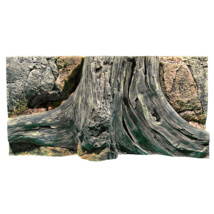 Back to Nature Amazonas 3D Background 60cm x 30cm