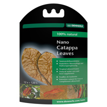 Dennerle Nano Catappa Leaves x 12 pcs