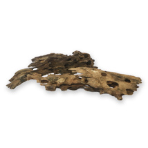 Honeycomb Wood 30-40cm Per Piece *New*
