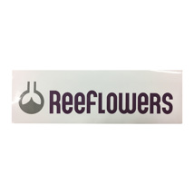 Reeflowers Small White Rectangular Sticker