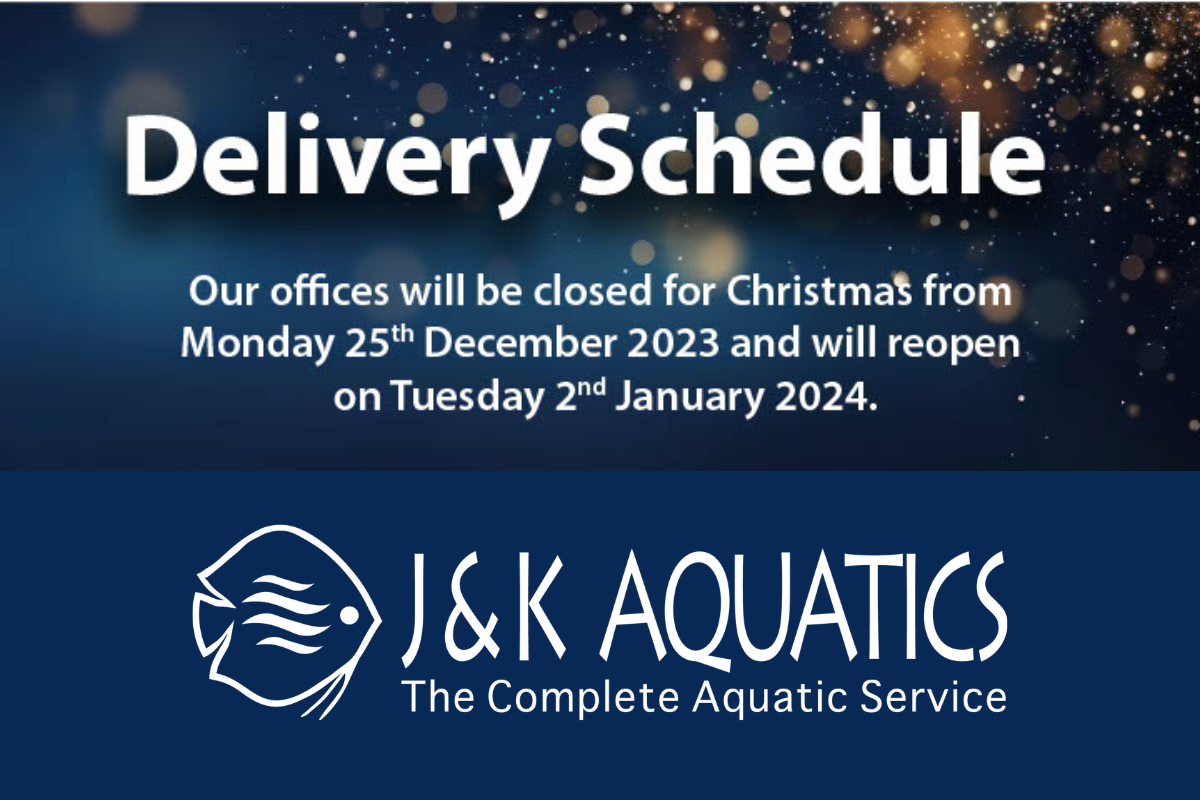 Christmas 2023, New Year 2024 delivery schedule