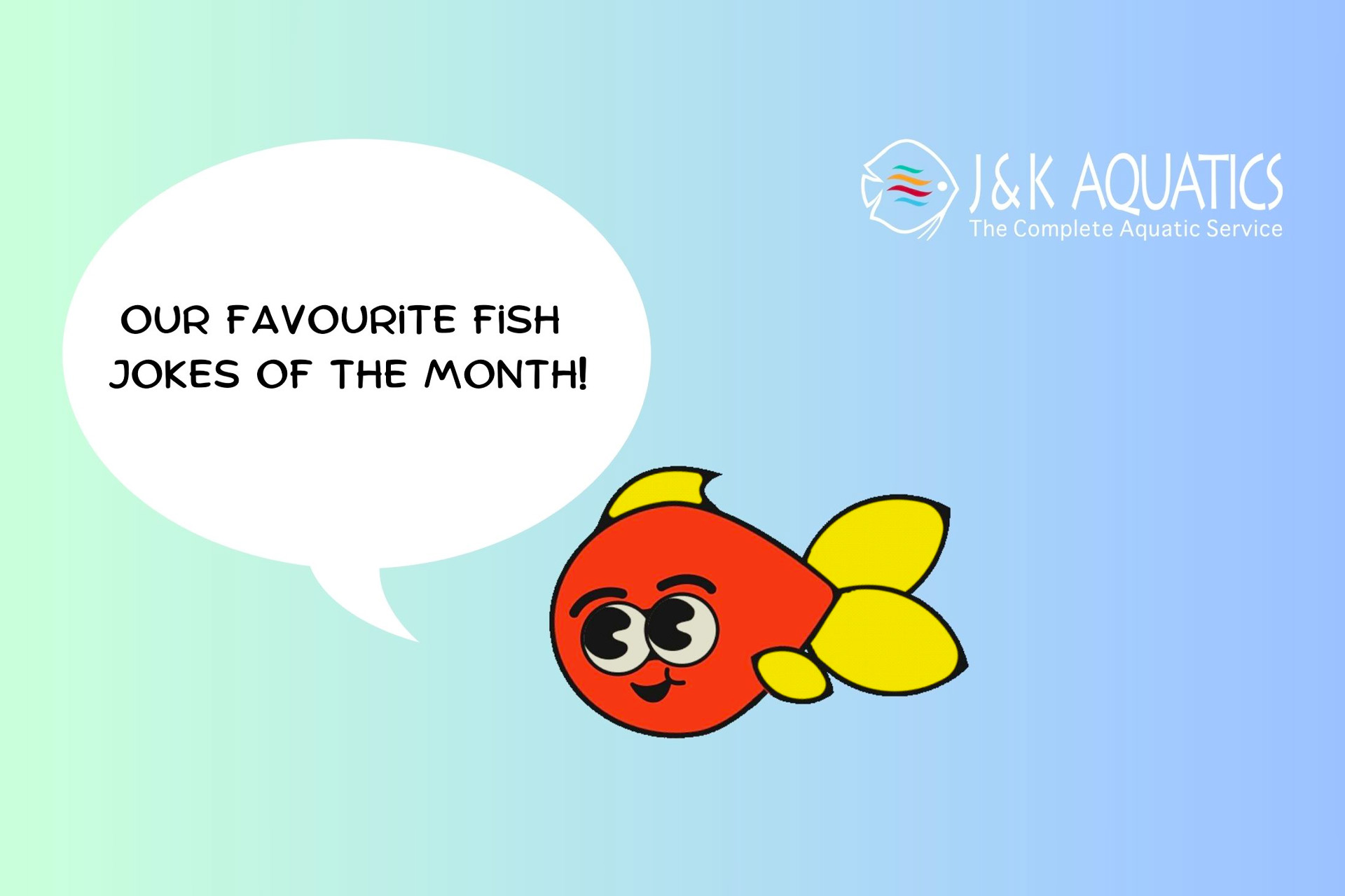 Our favourite fish jokes this month