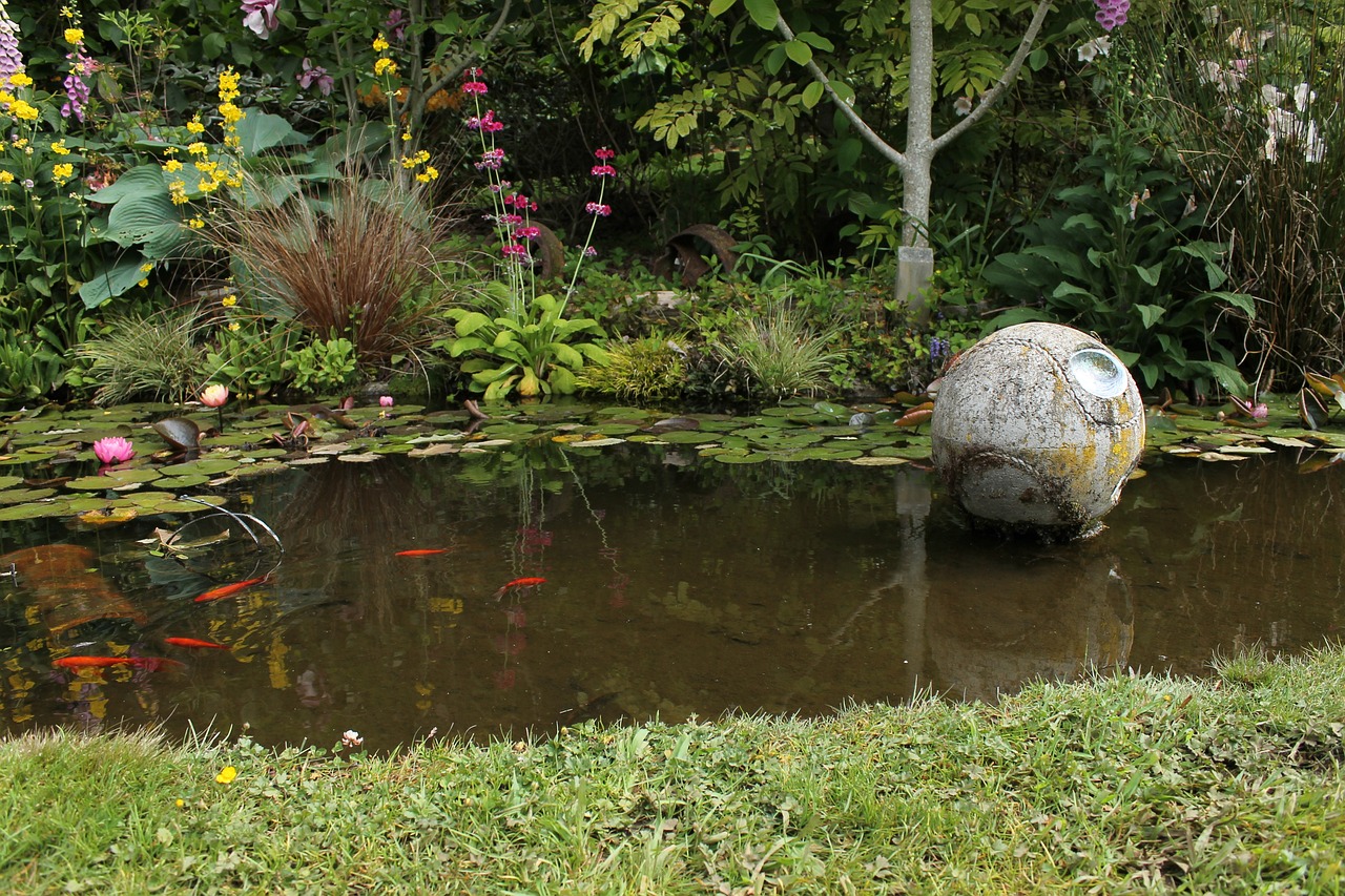 Top tips for Autumn pond care/maintenance