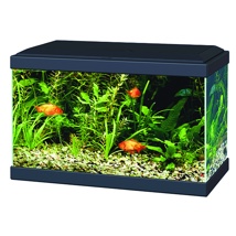 Ciano Aqua 20 Aquarium With LED Light - Black 17L