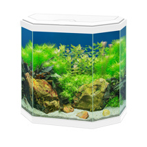 Ciano Aqua 30 Aquarium With LED Light - White 25L