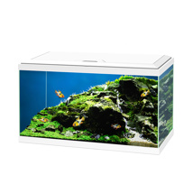 Ciano Aqua 60 LED Aquarium - White 58L