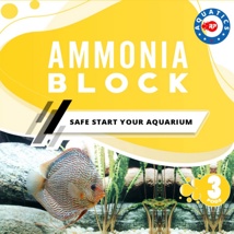 RP Ammonia Block