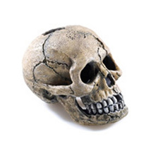 Classic Spooky Skull 2964 4 pack