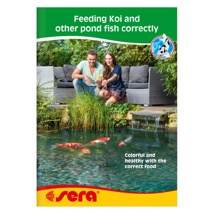 Sera Feeding Koi and Other Pond Fish Guide
